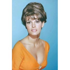 Raquel Welch Studio Photo Framing Print 8 x 10 Reproduction