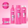 Co-Creations Ceramides Sedal,