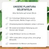 Plantura Pack of 40 Yellow Plates - Fungus Gnats &