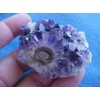 F4307 Amethyst Stalactite LOG Polished Face Beauty