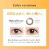クレオワンデーUVリング30枚1箱 ロイヤルブラウン （1日使い捨て コンタクトレンズ ）【BC】8.5 【PRW】-4.50