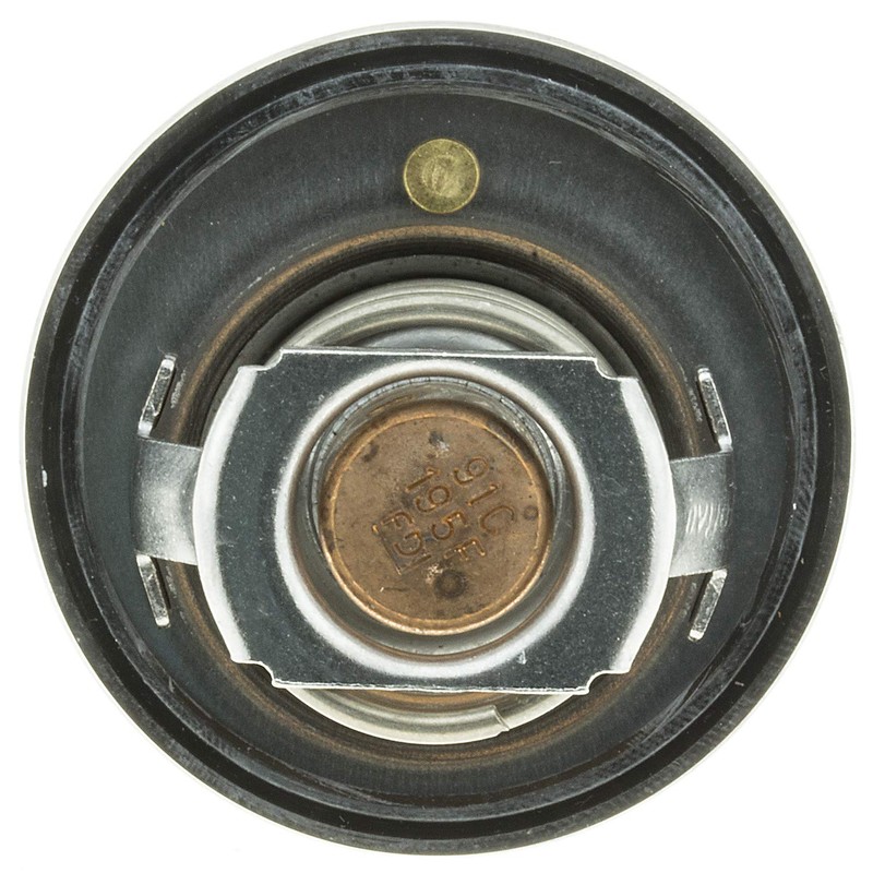 Motorad Thermostat,656-195