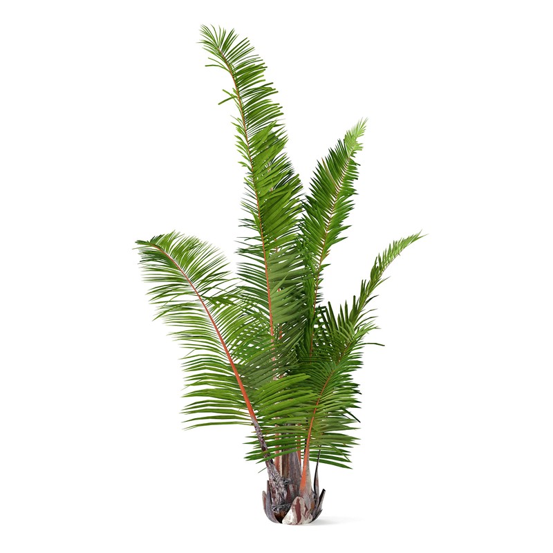 La Cordeline JN51 Bast Natural 150g