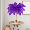 30 Pcs Large Natural Ostrich Feathers Bulk 16-18 Inch for
