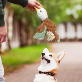 Dog Plush Rope Toys | Puppy Rope Toy | Squeaky Dog Toys to Keep Them Busy | Dog Chew Toy, Dog Tug Toy, Interactive Indestructible Toys for Teeth Cleaning, Small Medium Dogs