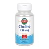 KAL Choline Tablets, 250 mg, 100 Count