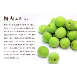 シードコムス 梅肉エキス サプリメント クエン酸 りんご酸 ムメフラース (約6ヶ月分 180粒)