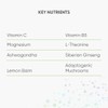 Nutri Advanced - Resilience - Stress Support with Ashwagandha, Ginseng,