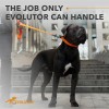 UD_Evolutor Extra Heavy Duty Dog Leash 4 Ft Durable Leash