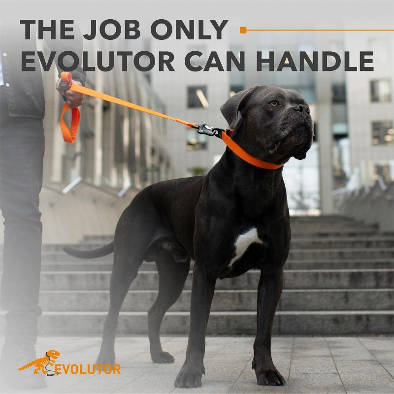 UD_Evolutor Extra Heavy Duty Dog Leash 4 Ft Durable Leash