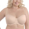 Vanity Fair Women's Beauty Back Smoothing Strapless Bra (34B -