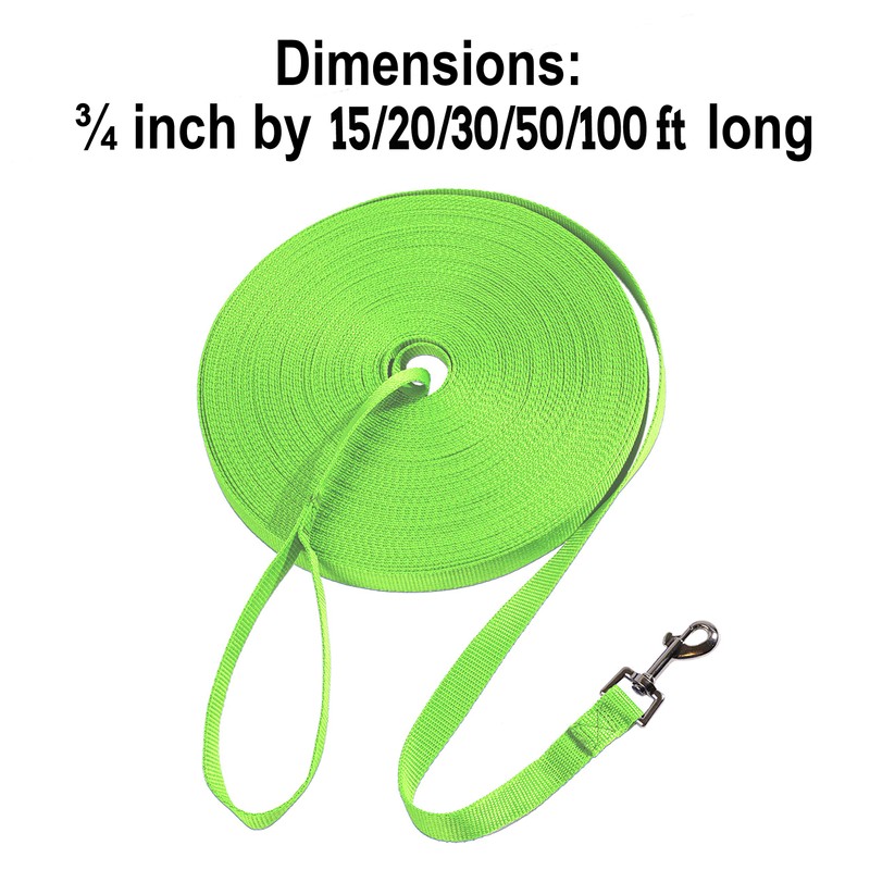 Hi Kiss Dog/Puppy Obedience Recall Training Agility Lead - 15ft