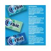 Orbit Mint Sugar Free Chewing Gum, Variety Pack, 14 pcs.,