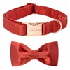 Unique style paws Dog Collar, Christmas Silk Dog Collar with