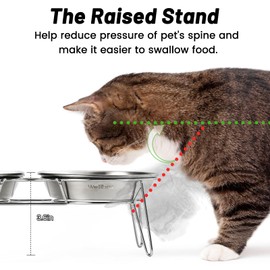 Wellbro Elevated Cat Bowls, 5.9 Inch Wide Stainless Steel Cat Food Bowls with Metal Stand Whisker Stress-Free, Raised Food and Water Dish for Cats, Kitten