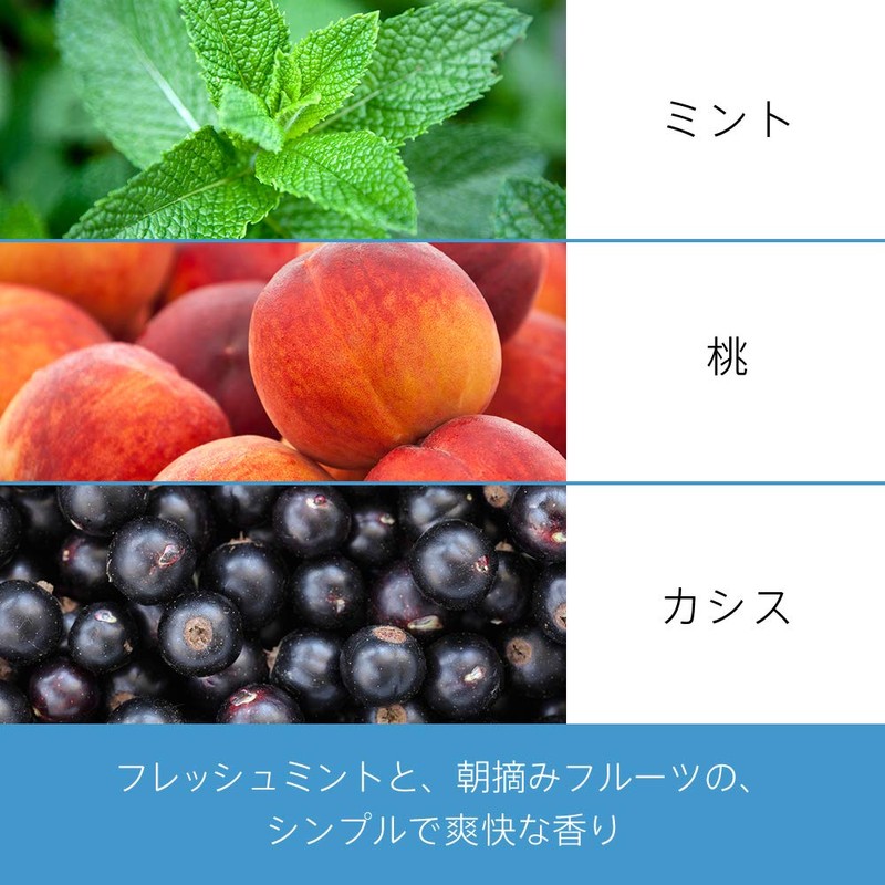 パンテーンミー ミセラー ノンシリコンシャンプー スカルプクレンズ 詰め替え 350mL