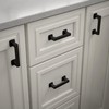 Franklin Brass Parow (1-Pack) Cabinet Handles 3' Hole Center Matte