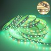 LEDENET RGB W WW 24V Flexible LED Strip Lighting Full