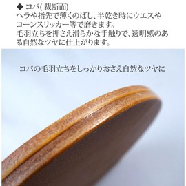 Kyoshin El Ertoko 3.5 oz (100 g) Coba Floor Surface Finisher