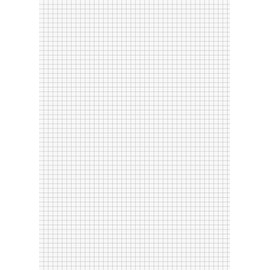 Brunnen Brunnen Pad A4 Squared 50 Sheets 90gsm Premium