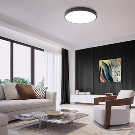 Ganeed LED Ceiling Lights, Modern Ceiling Lamp,27 W 15.7-Inch Round Flush Mount Lighting Fixture,Kitchen Light Fixture,Ceiling Lighting for Dining Room Hallway Living Room Bedroom Office,Black