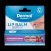 Dermal Therapy Buy Dermal Therapy Lip Balm Berry 10g Online | Chempro Chemists