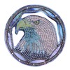 Diamond Painting Pendant DIY Eagle Diamond Painting Dreamcatcher Window Ornament