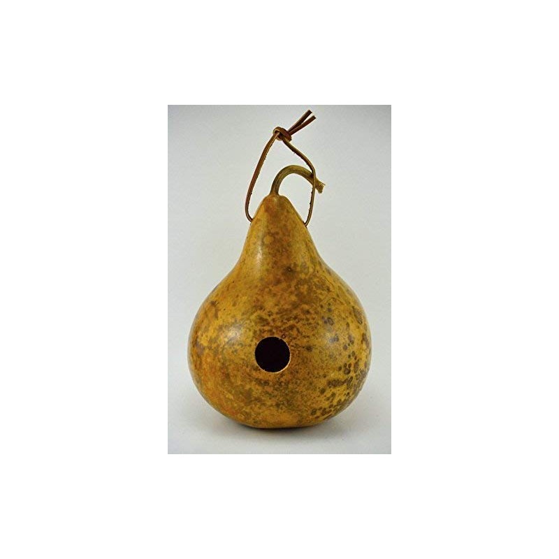 Gourd Birdhouse Natural