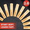 EPUICEK Alto Saxophone Reeds 2.0 â€“ 10 Pack Soft Beginner