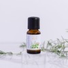 Nahrin Herbal Oil 33+7 15ml