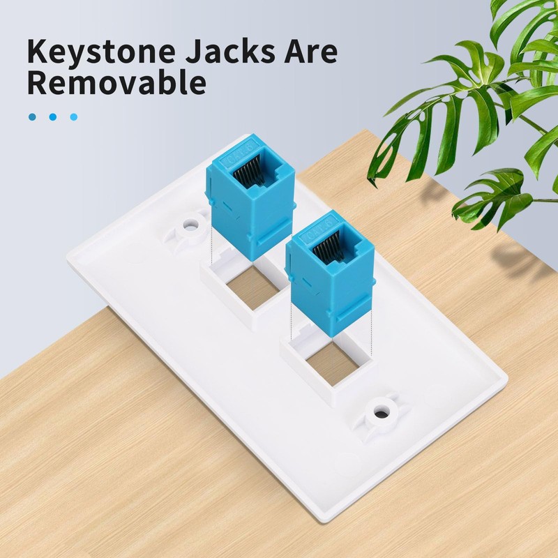XGGYA Ethernet Wall Plate 2 Port with RJ45 Keystone Coupler
