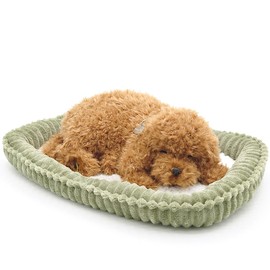 Ninandokino Perfect Pet (Small Size) Toy Poodle, Plush, Dog, Dog, Real, Lifelike, Miscellaneous Goods, Animal, Animal, Healing, Moving, Present, Gift, Celebration, Cute, Plush Dog