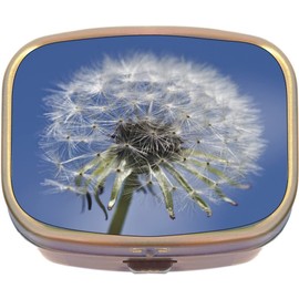 Dandelion Flower Seeds Brass Rectangle Pill Box