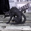 Nemesis Now Small Black Cat Witches Familiar Figure Spite 23.5cm