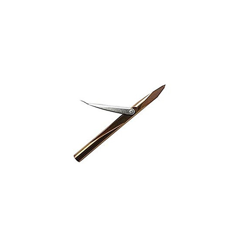 SALVIMAR – Harpoon AK9 tricuspide Stainless Steel 9 mm –