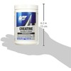 Creatina Monohidrato GAT SPORT 300 g – 60 porciones sin