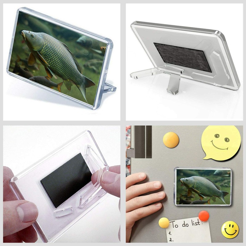 1 x Fridge Magnet -Wild Common Carp Classic Fridge Magnet