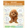 Adult-oriented Voice Recognition Plush Toy 【Talking Toy Poodle】 Easy to