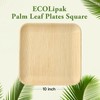 ECOLipak 10 Inch Compostable Palm Leaf Plate Like Bamboo Plate,