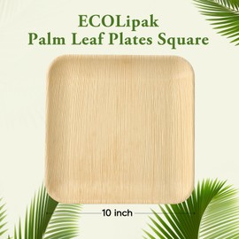 ECOLipak 10 Inch Compostable Palm Leaf Plate Like Bamboo Plate, 50 Pack Disposable Biodegradable Plates Suitable for Party, Dinner