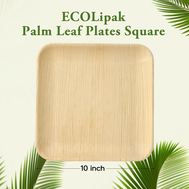 ECOLipak 10 Inch Compostable Palm Leaf Plate Like Bamboo Plate,