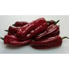 Large Sweet Antigua Sweet Pepper 10+ Seeds