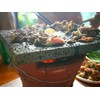 Volcano Stone Cooking Tile, 8" x 8"，Lava Cooking Stone for
