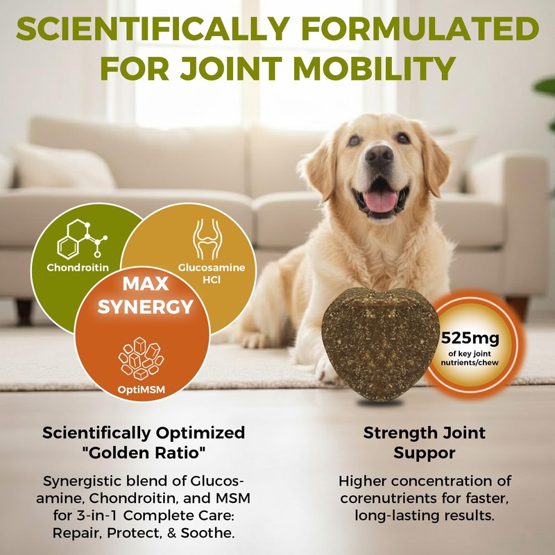 KISFLY Hip & Joint Chews for Senior Dogs – Advanced