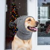 Vehomy Dog Knitted Hat Cat Christmas Wool Hat Pet Winter