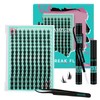 Lash Clusters Kit 160PCS Fairy Eyelash Clusters Kit with Lash