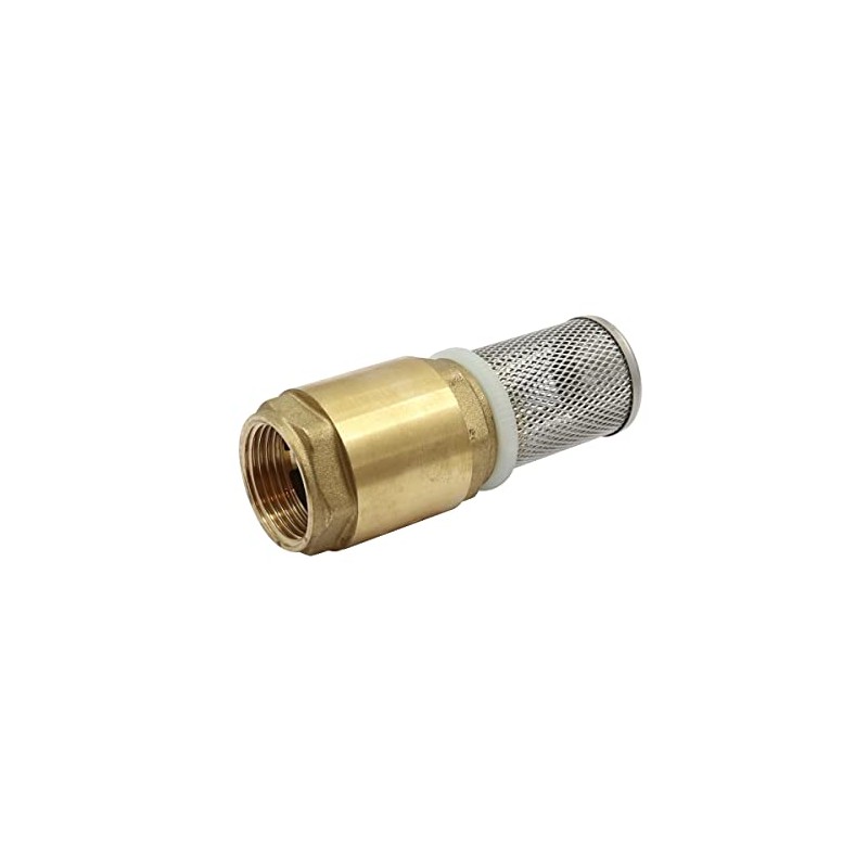 WITTKOWARE Stainless Steel Suction Basket with Brass Check Valve, Pump