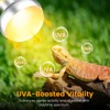 Dual Reptile Light Fixture with 100W Daytime Heat & UVB