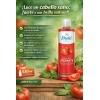 Shampoo Jitomate 530ml Nutricion Capilar Shelo Nabel