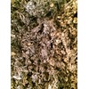 Organic Bio Herbs Premium Dried Wormwood (Artemisia vulgaris) | 100%